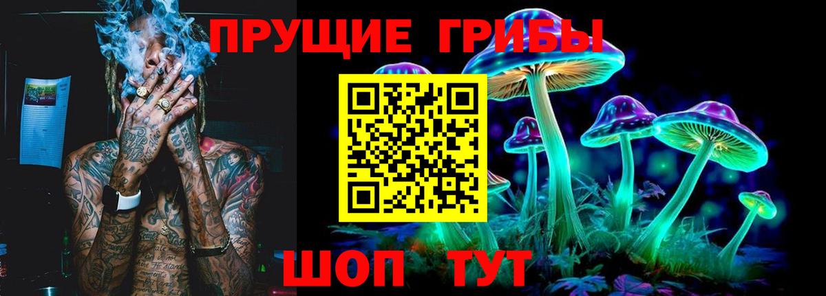 Псилоцибиновые грибы Cubensis Верхняя Пышма